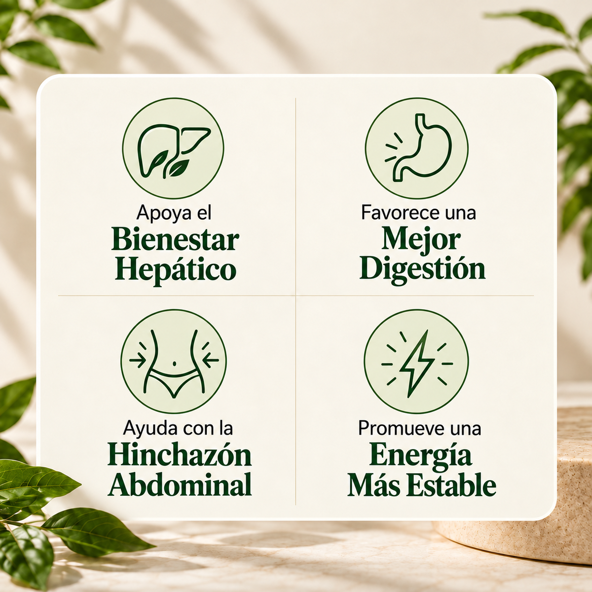 Hepatex™ – Bienestar Hepático y Digestivo | Fórmula Líquida 60 ml